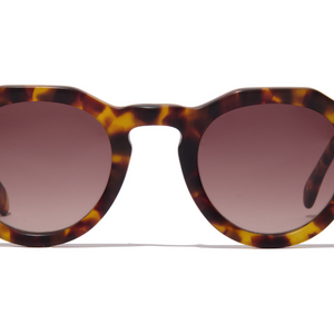 Óculos de Sol - Malta Tortoise Havana Fosco